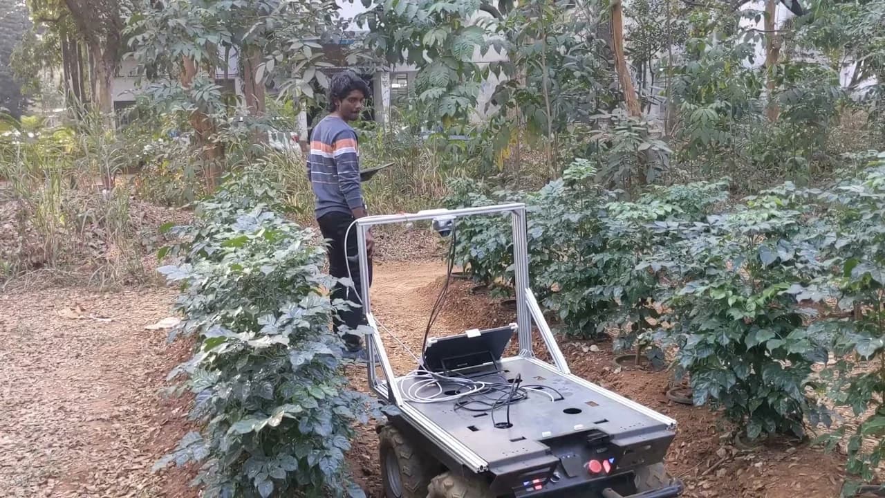The Versor robot between leafy plants in a field, with a person standing beside it