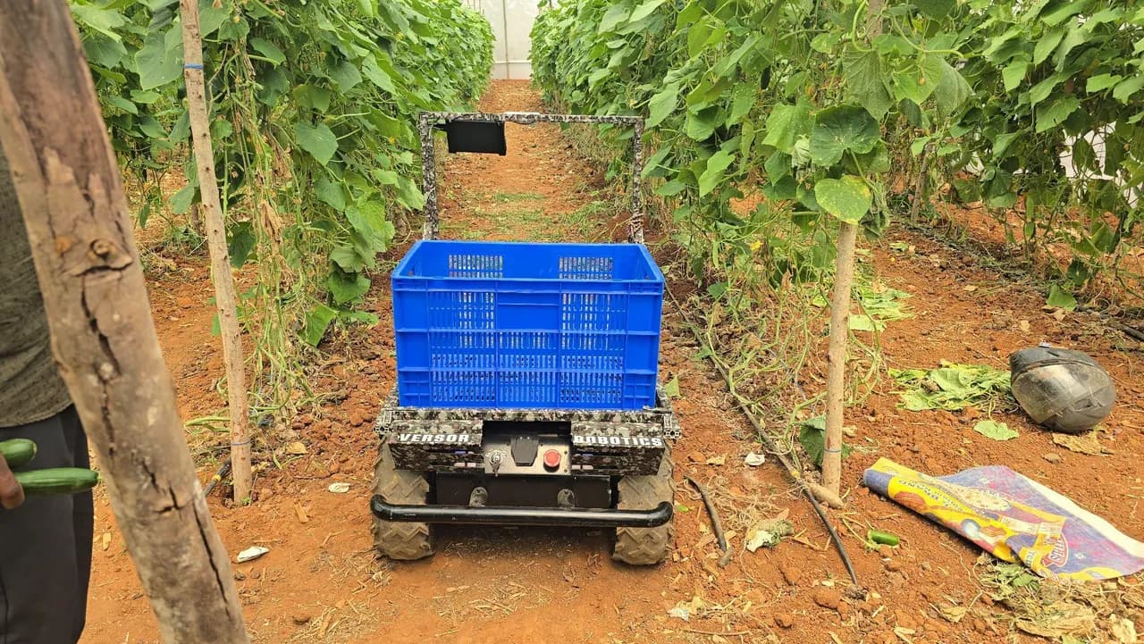 The robot with a blue crate standing in a row of climbing plants on trellis poles